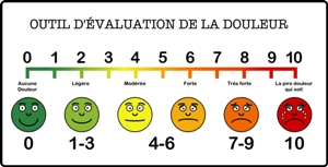 échelle d'évaluation de la douleur