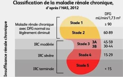 Classification de l'insuffisance rénale chronique