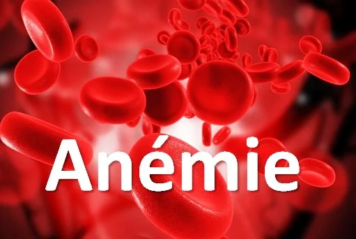 Diagnostic et traitement de l'anémie