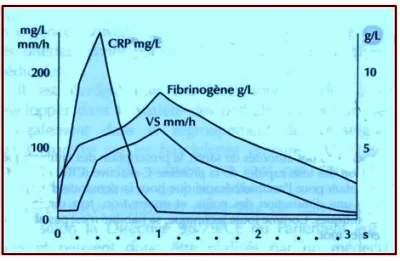 Vitesse de sédimentation VS et CRP, quel intérêt ?