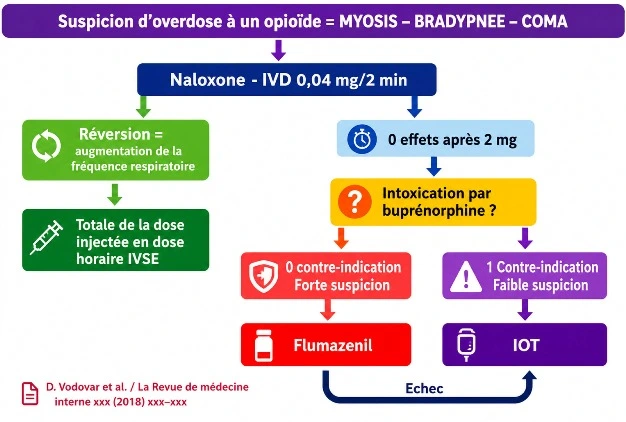 Algorithme traitement de l'intoxication par Opioïdes avec Naloxone