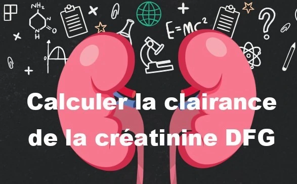 DFG, calcul de la clairance de créatinine plasmatique DFG, calcul de la clairance de créatinine plasmatique