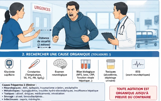 L’urgence psychiatrique violente, agitation, prise en charge médicale