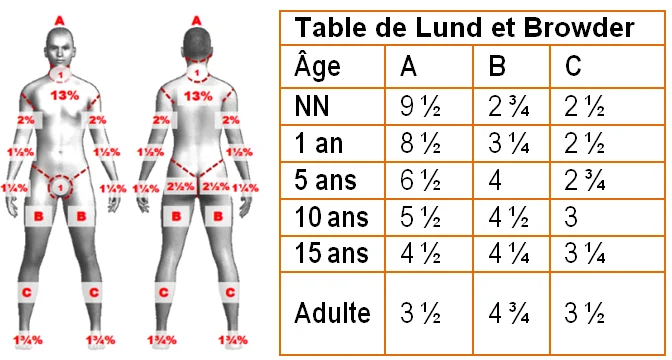 Tableau classification des brulures Lund et Browder