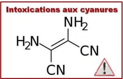 Formule chimique des cyanures, signes d'intoxications