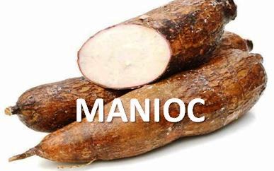 Manioc intoxication par les cyanures