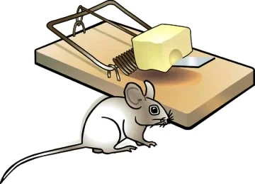 Intoxication humaines par les raticides, signes et traitement