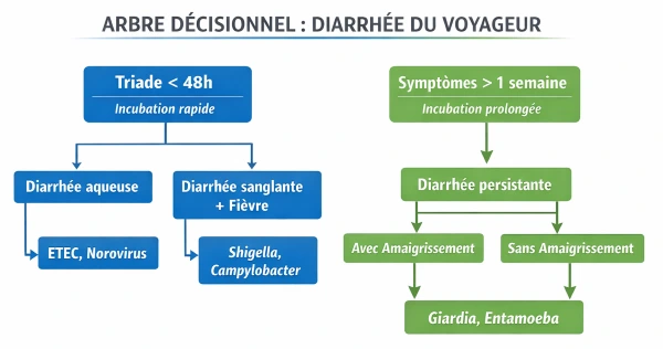 Algorithme diarrhée traitement