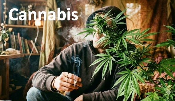 Reconnaitre les signes d'intoxication au cannabis et protocole urgence Reconnaitre les signes d'intoxication au cannabis et protocole urgence