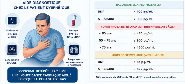 Intérêt des BNP dans le diagnostic de dyspnée aux urgences Intérêt des BNP dans le diagnostic de dyspnée aux urgences