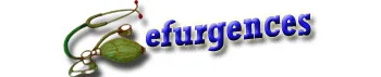 Sigle site efurgences