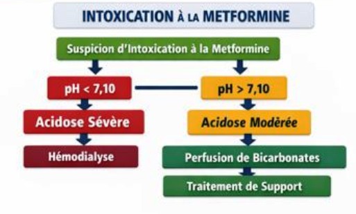 Intoxication au metformine Metformine et acidose lactique CAT