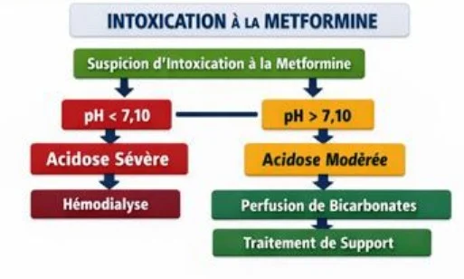 Metformine et acidose lactique CAT
