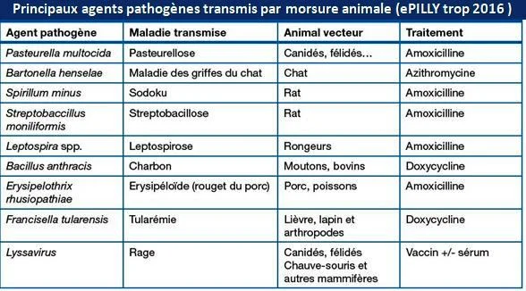tableau des infections provoquées par morsure Morsures animales et les infections