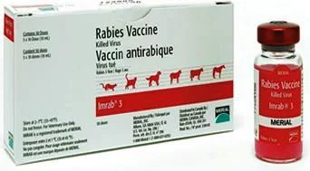 Vaccin anti rabique