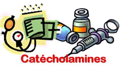 Catécholamines états de choc